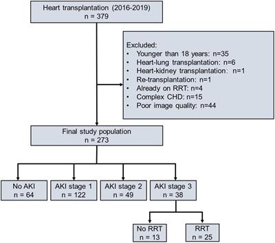 Incremental value of preoperative right ventricular function in predicting moderate to severe acute kidney injury after heart transplantation